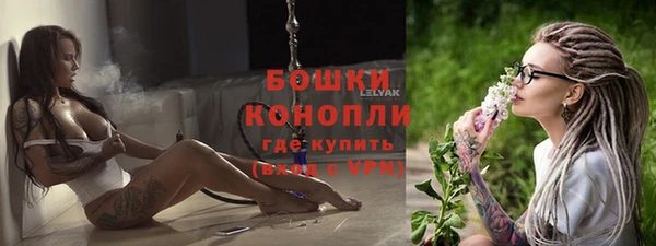 мяу мяу мука Няндома