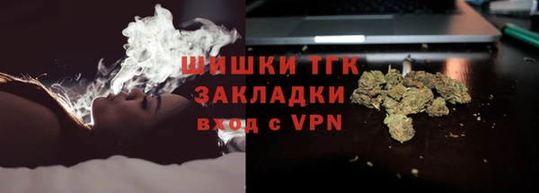таблы Богородицк