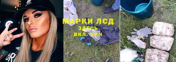 шишки Нязепетровск