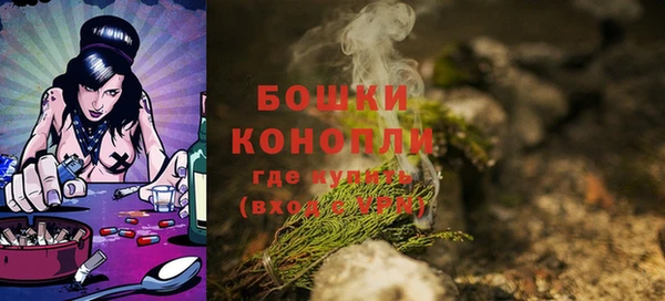 шишки Нязепетровск