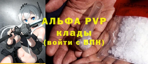 амф Беломорск