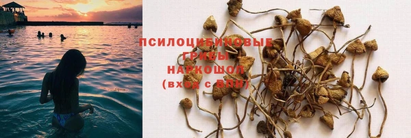 винт Белоозёрский